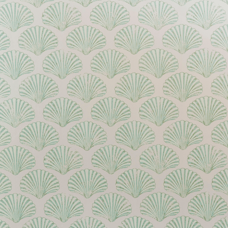 Scallop Shell Wallpaper