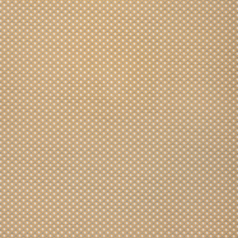 Daisy Scallops Wallpaper