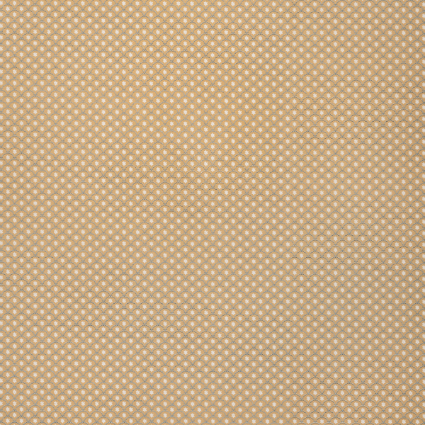 Daisy Scallops Wallpaper
