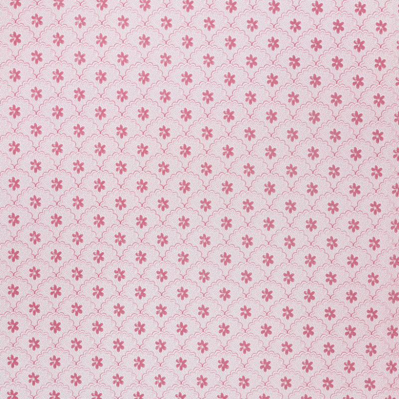 Daisy Scallops Wallpaper