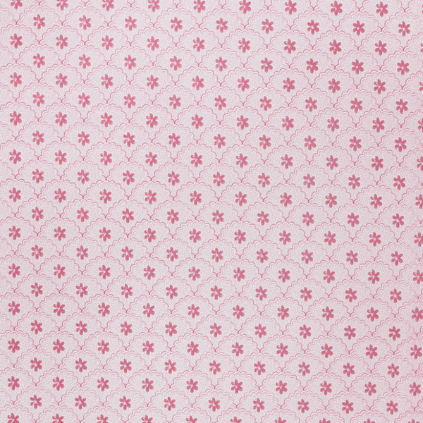 Daisy Scallops Wallpaper