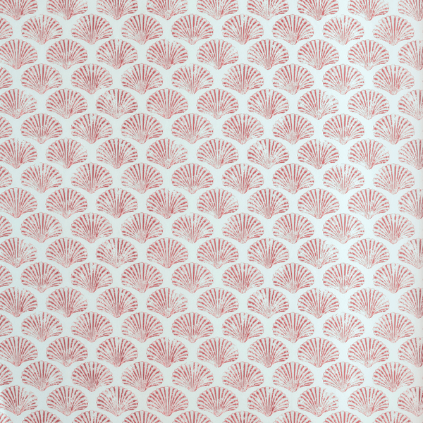 Scallop Shell Wallpaper