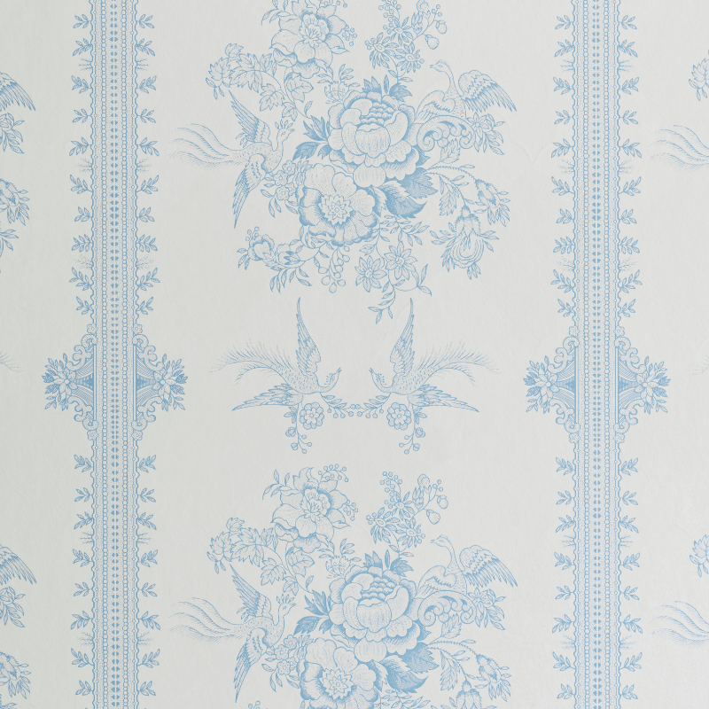 Asiatic Pheasant Wallpaper