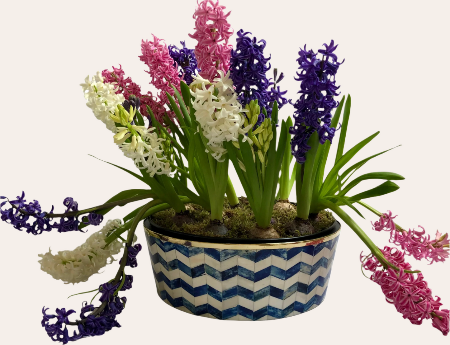 Round Inlay Planter | Large | Blue | Chevron