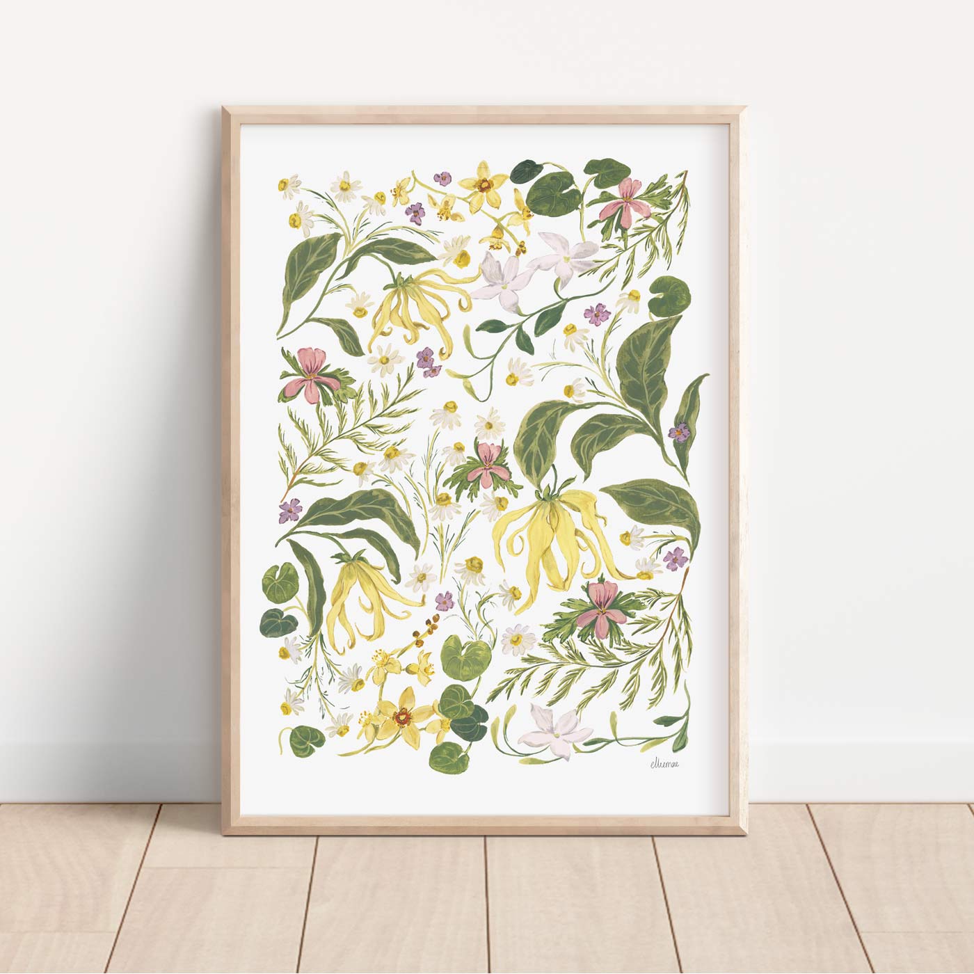 Ylang ylang flowers, chamomile, neroli and other natural essence wildflowers entwined painting called botanical whisper in a4 a3 a2