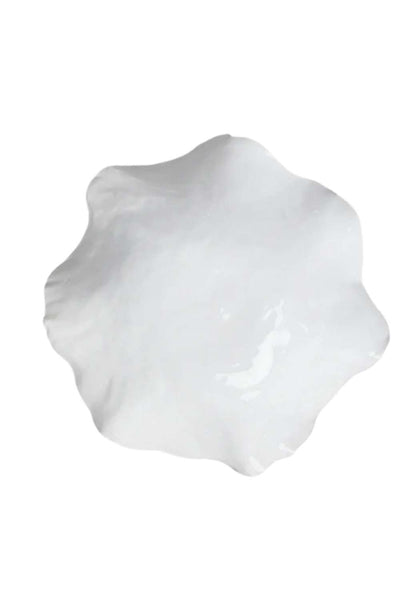 Oyster Medium Decorative Plate