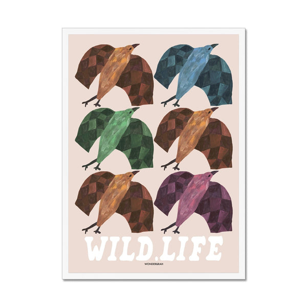 Wild Life Birds Print