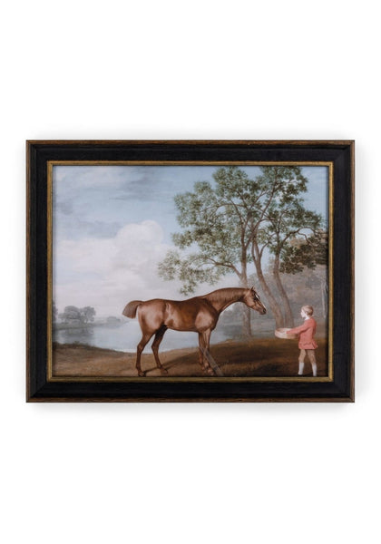 Camelot's Stable Companion - Casa by Josephine Jenno
