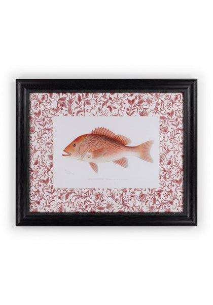 Camelot's Vintage Fish Study I - Casa by Josephine Jenno