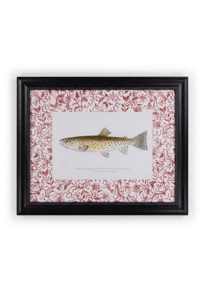 Camelot's Vintage Fish Study II - Casa by Josephine Jenno