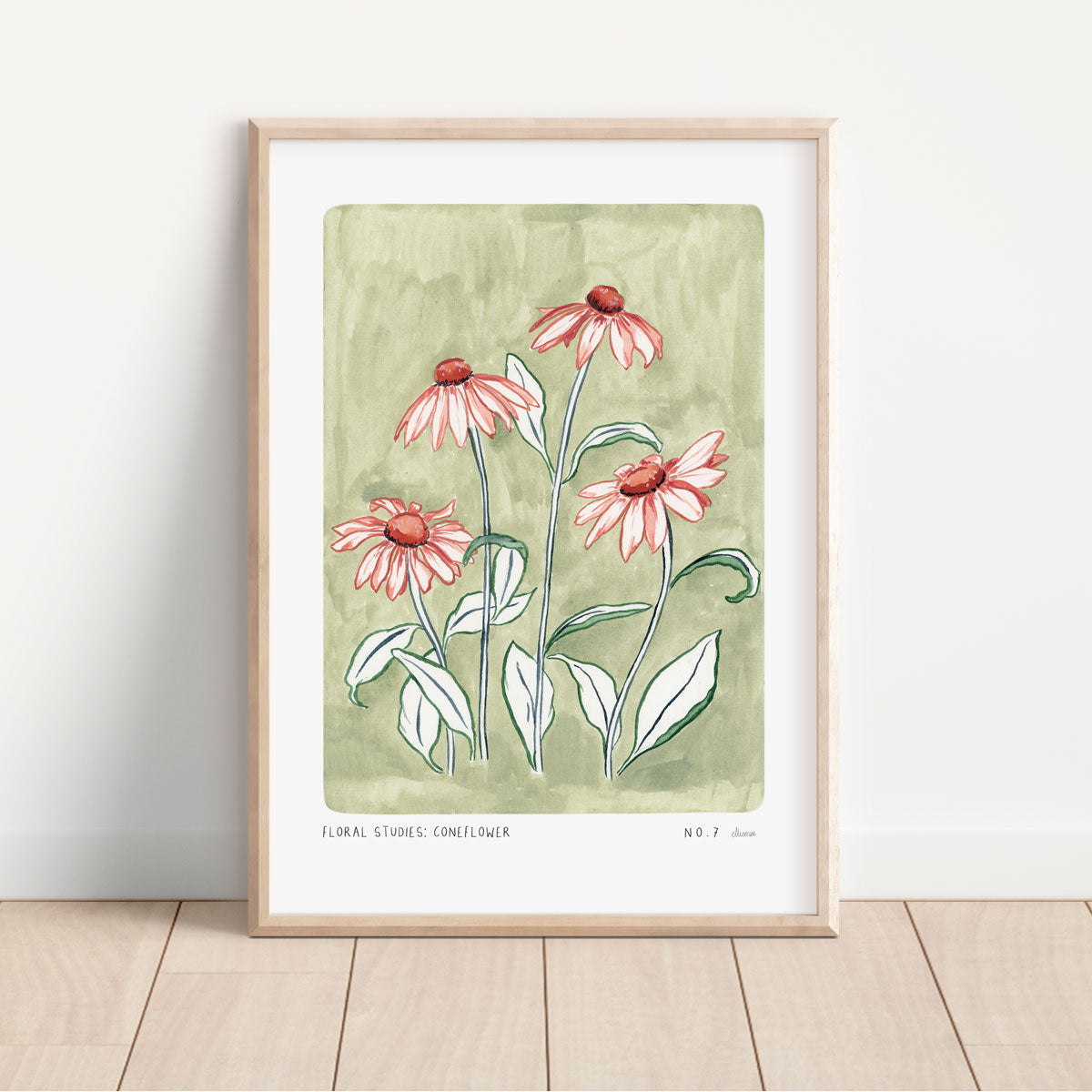 Our coneflower art print with a sage green painted background and peachy pink flowers and green outlined leaves. With small text reading floral studies: coneflower NO.7