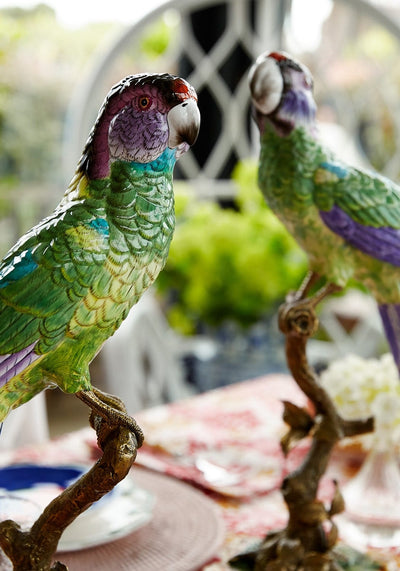 Copacabana The Hottest Bird North of Havana - Casa by Josephine Jenno