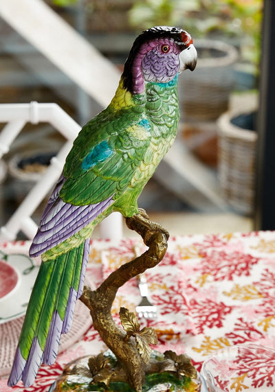 Copacabana The Hottest Bird North of Havana - Casa by Josephine Jenno