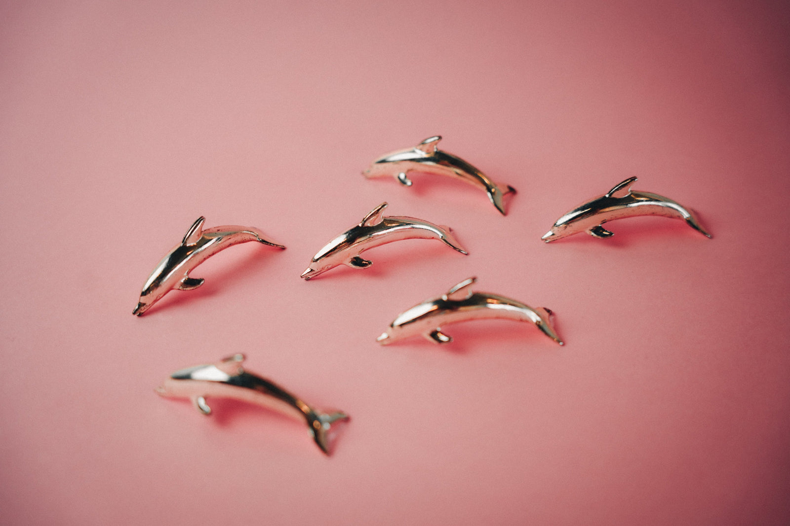 Dolphin Namecard Holders