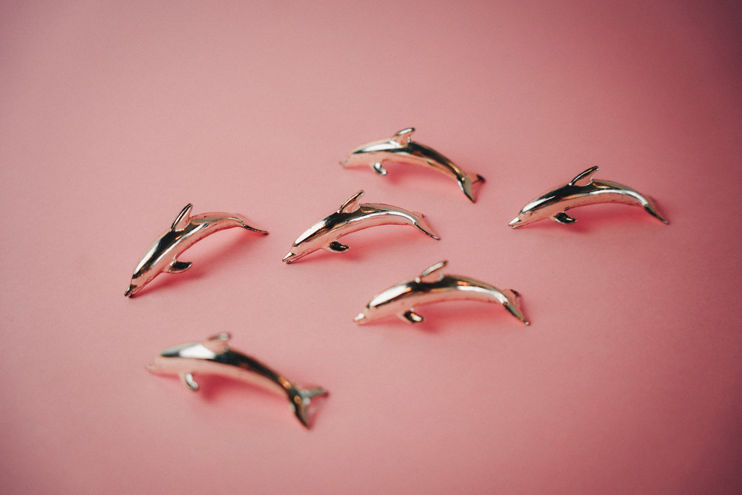 Dolphin Namecard Holders