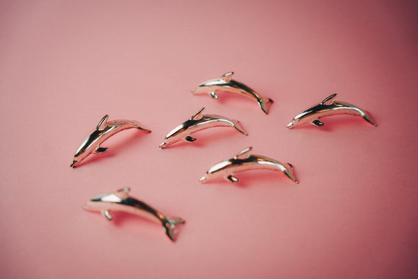 Dolphin Namecard Holders