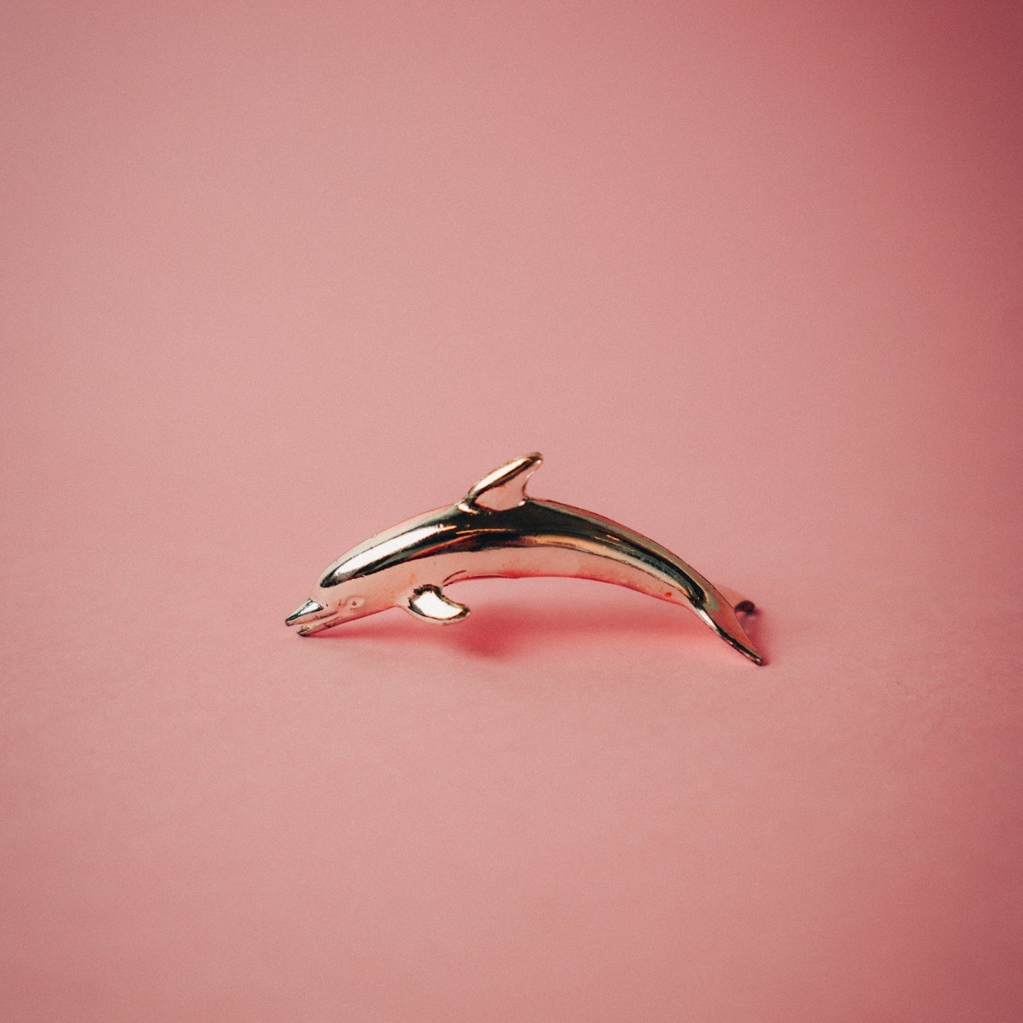 Dolphin Namecard Holders