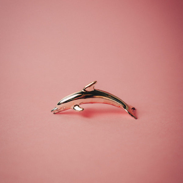 Dolphin Namecard Holders