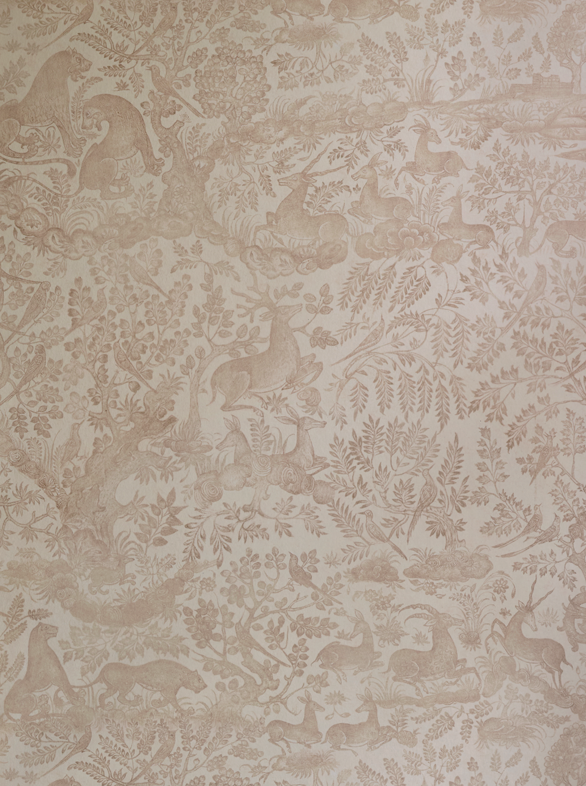 Fablewood Wallpaper - Chalk