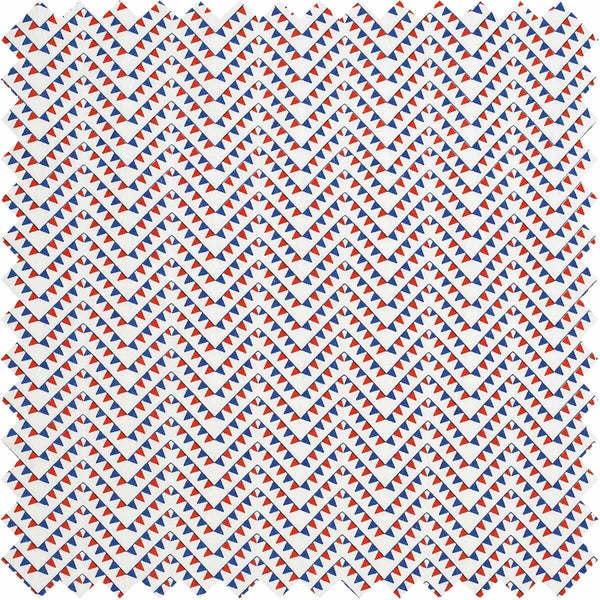 Ferry Flag Fabric