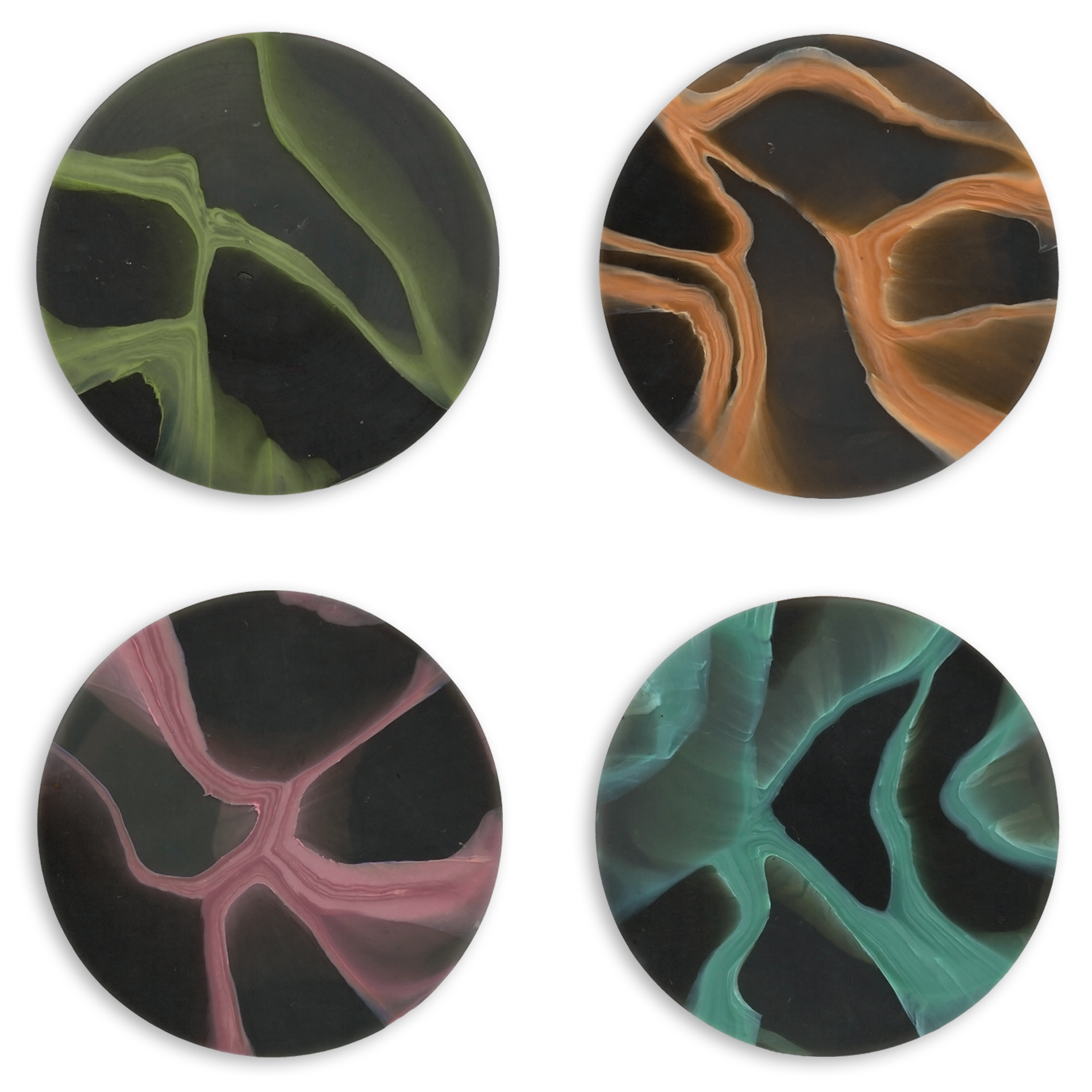SET OF 4 COASTERS MYCELIUM MIX.png