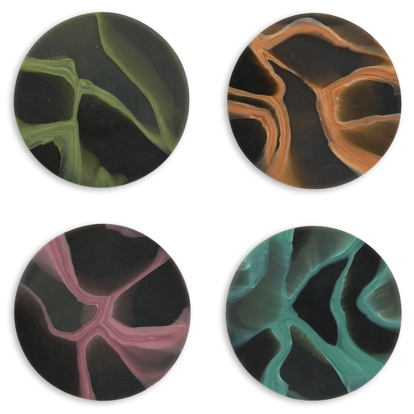 SET OF 4 COASTERS MYCELIUM MIX.png