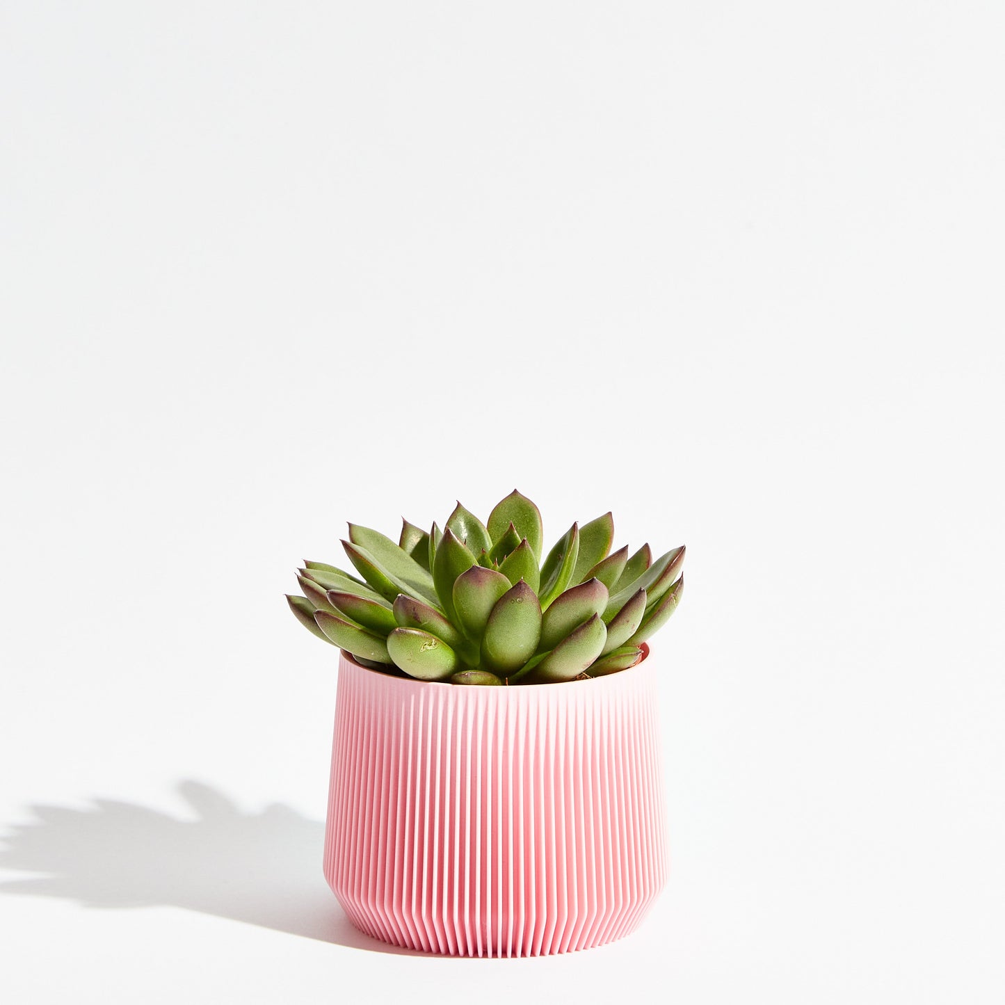 Pillar Pot - Sakura Pink
