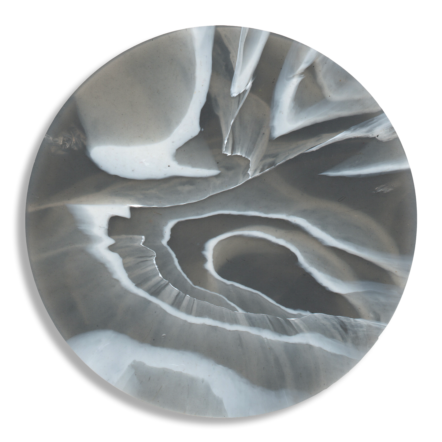 COASTER - RIPPLE - SEAL 3.png