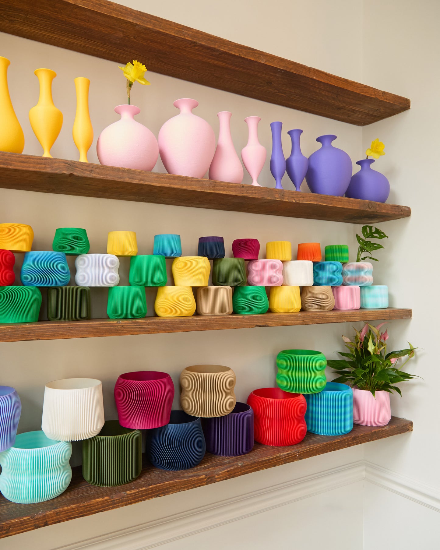Coola Vase - Pink Sakura
