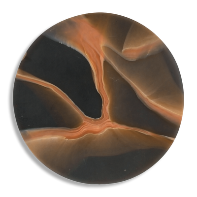 MYCELIUM TERRACOTTA 4.png