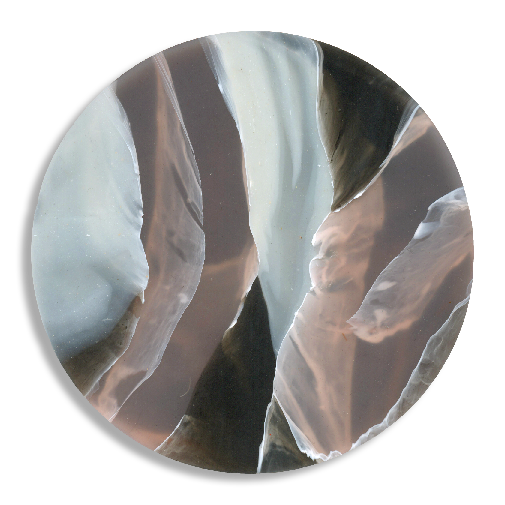 TORTOISESHELL ROSE QUARTZ 4.png