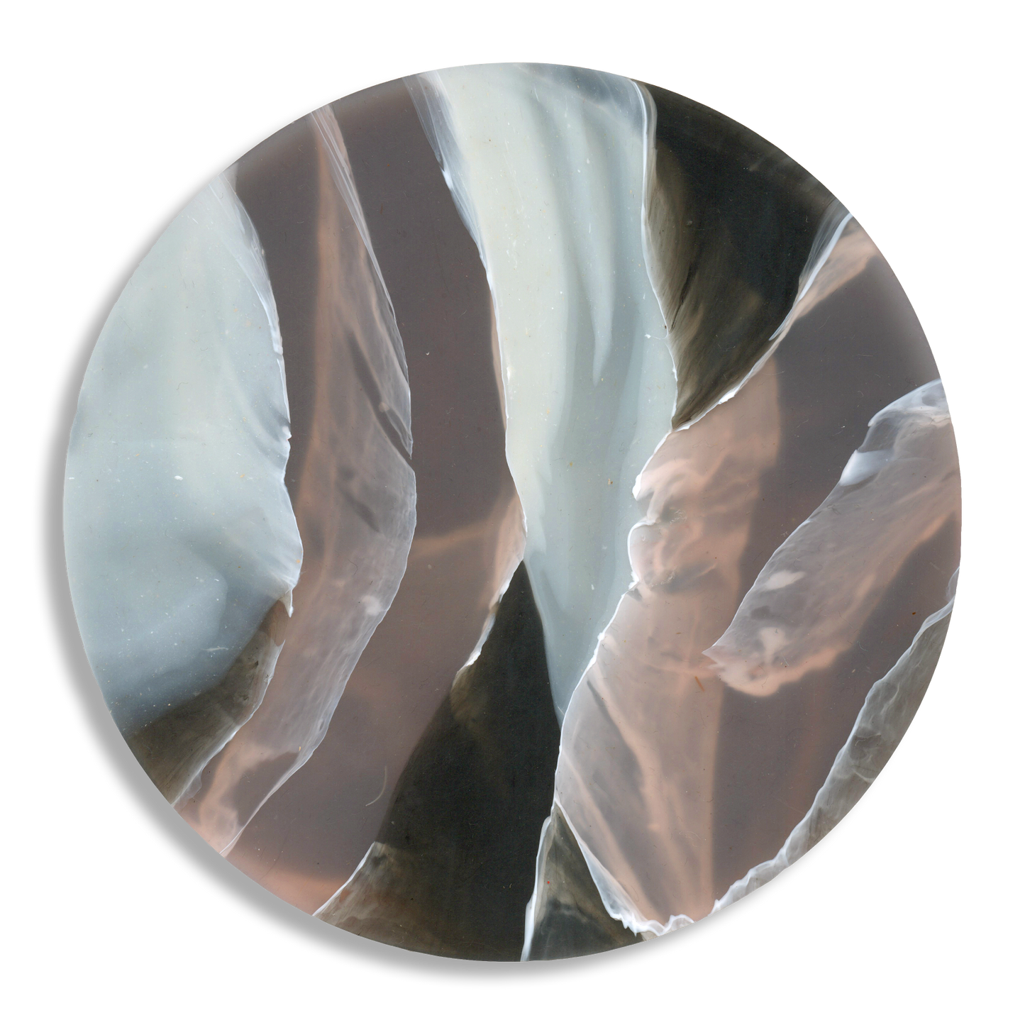 TORTOISESHELL ROSE QUARTZ 4.png