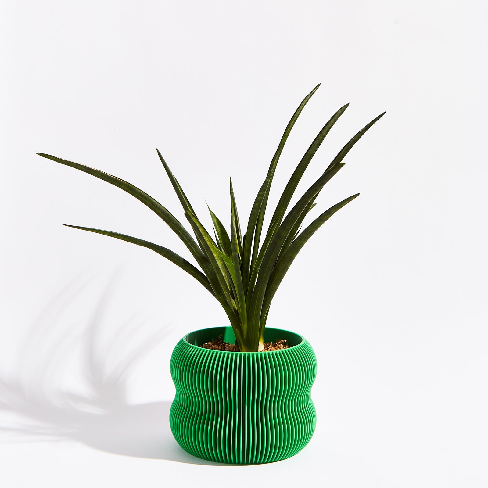 Bubble Pot- Bamboo Green