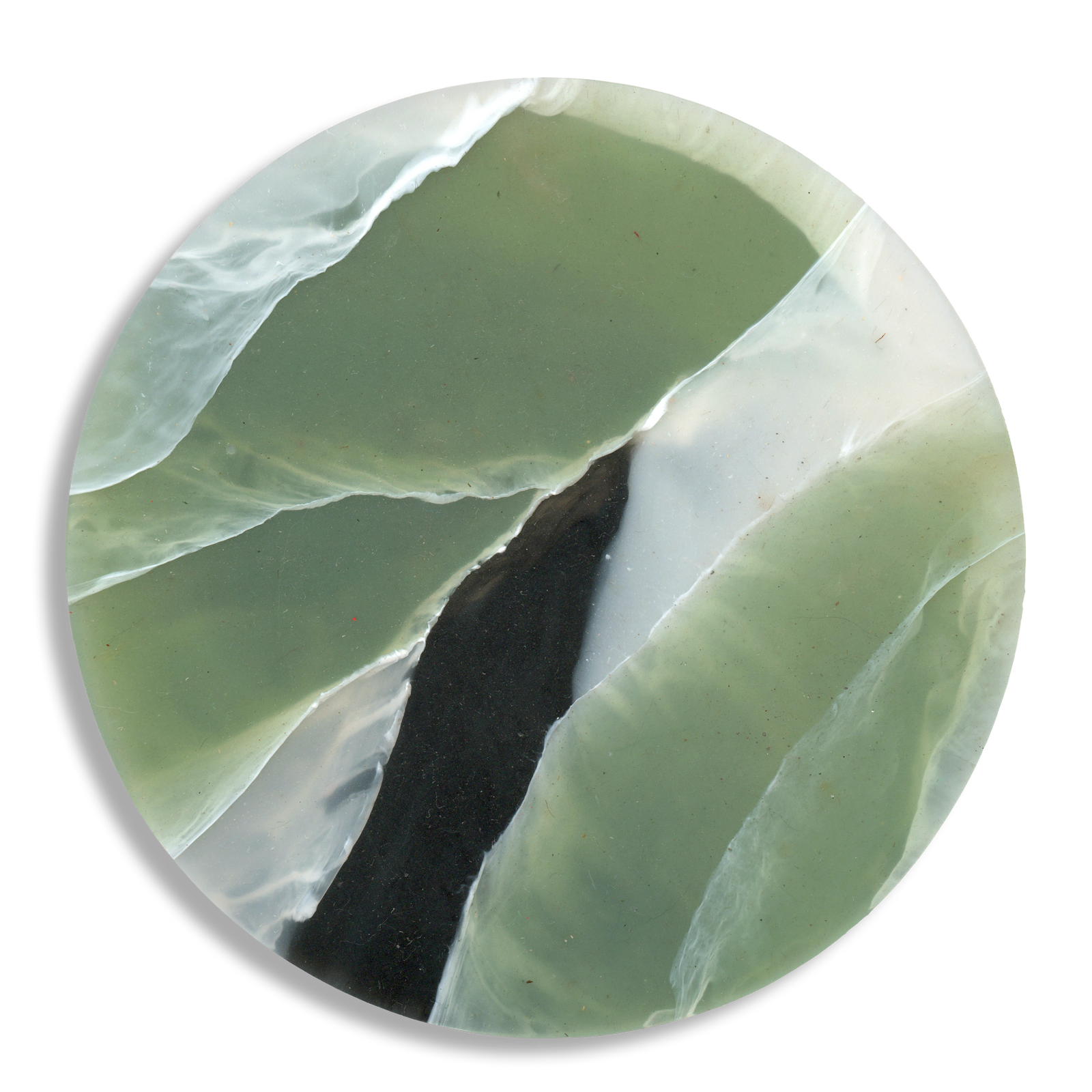 TORTOISESHELL SAGE 1.png