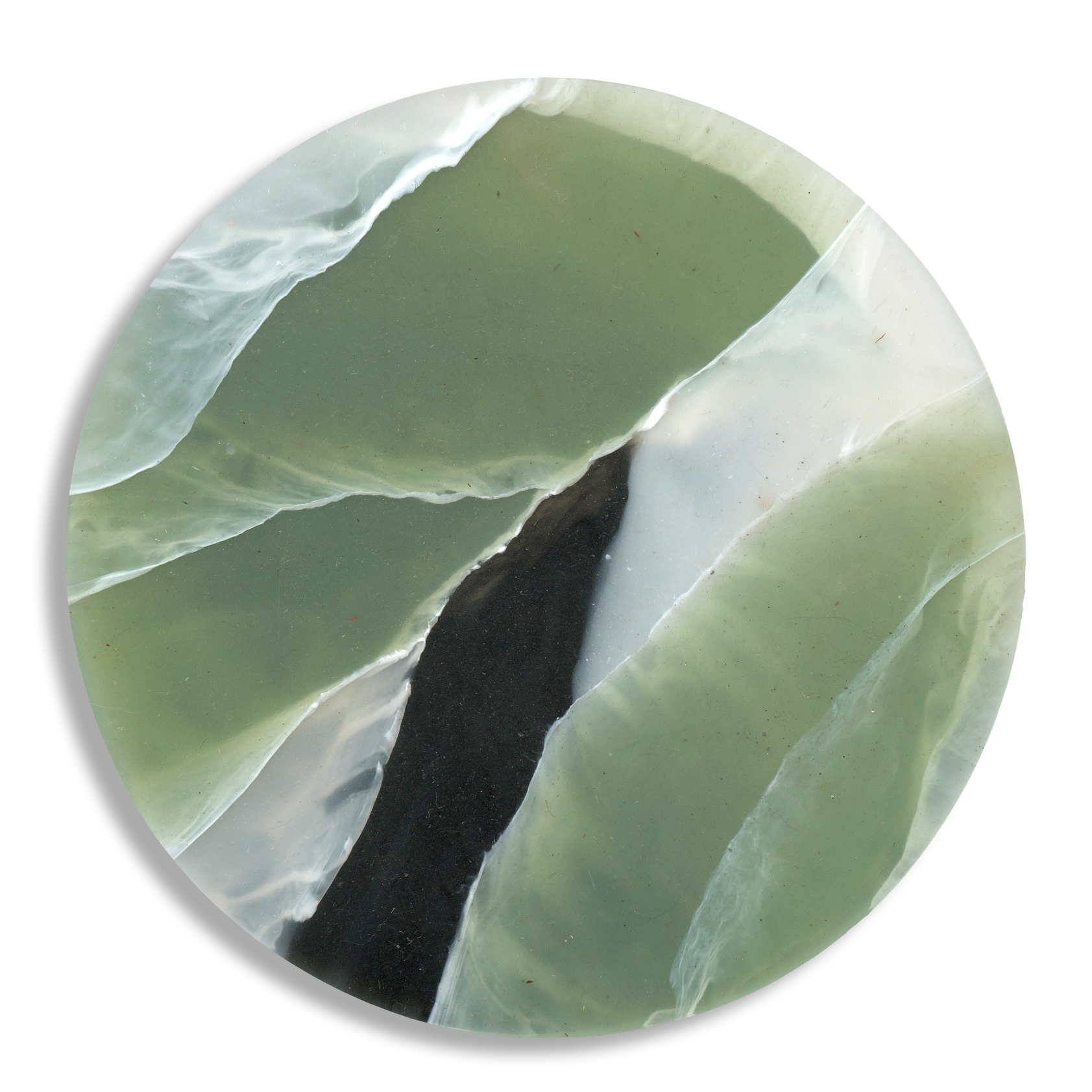 TORTOISESHELL SAGE 1.png