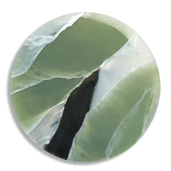 TORTOISESHELL SAGE 1.png