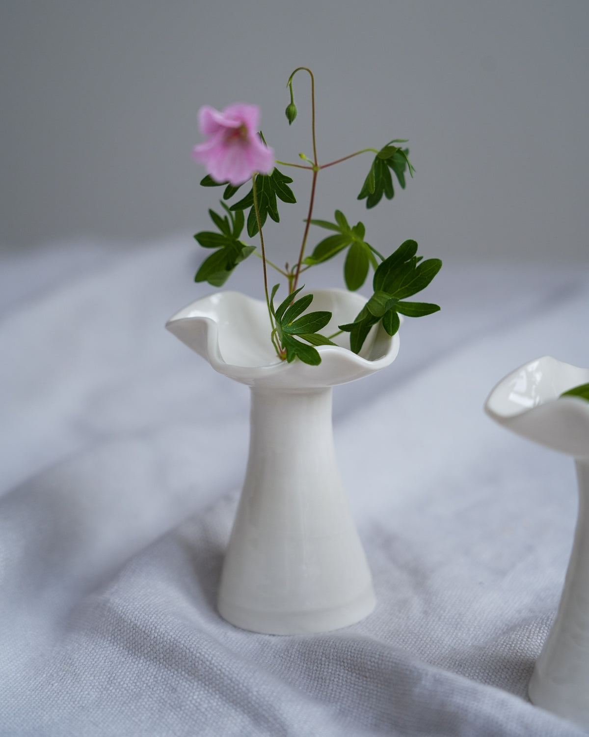 DSC04097.jpg