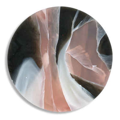TORTOISESHELL ROSE QUARTZ 3.png