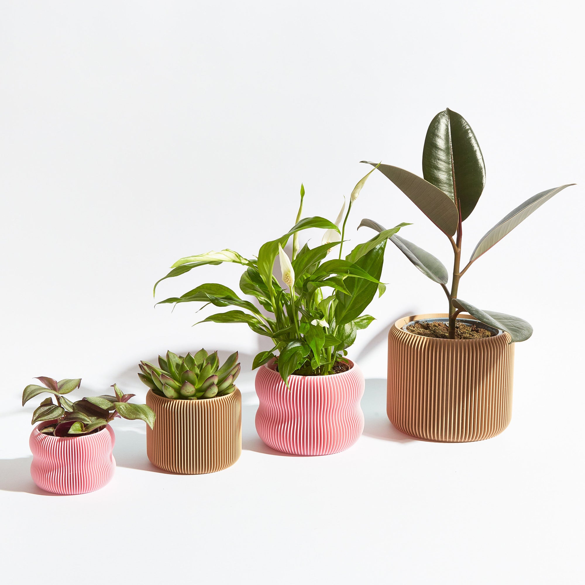 Orbital Pot- Bamboo Green