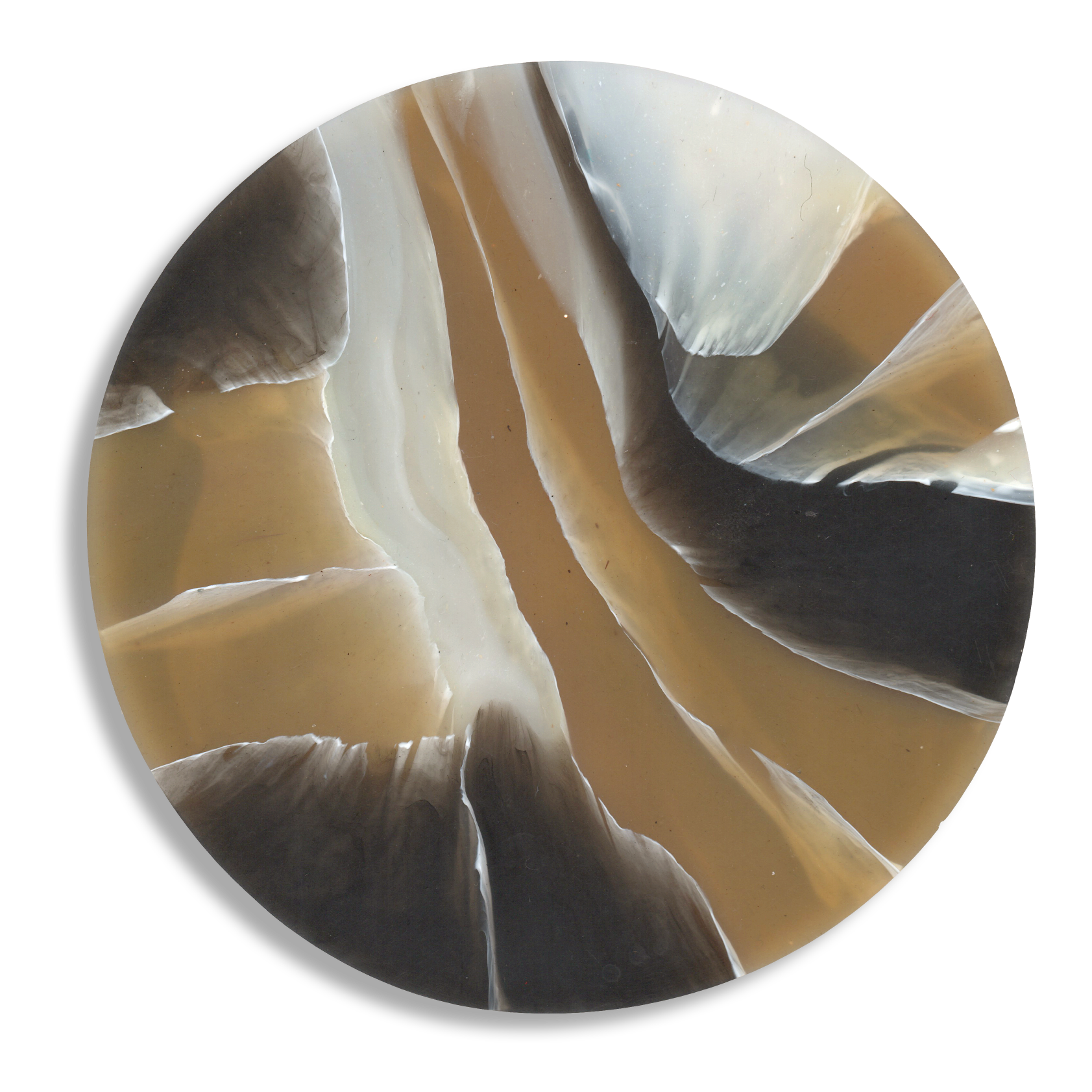 TORTOISESHELL CARAMEL 1.png