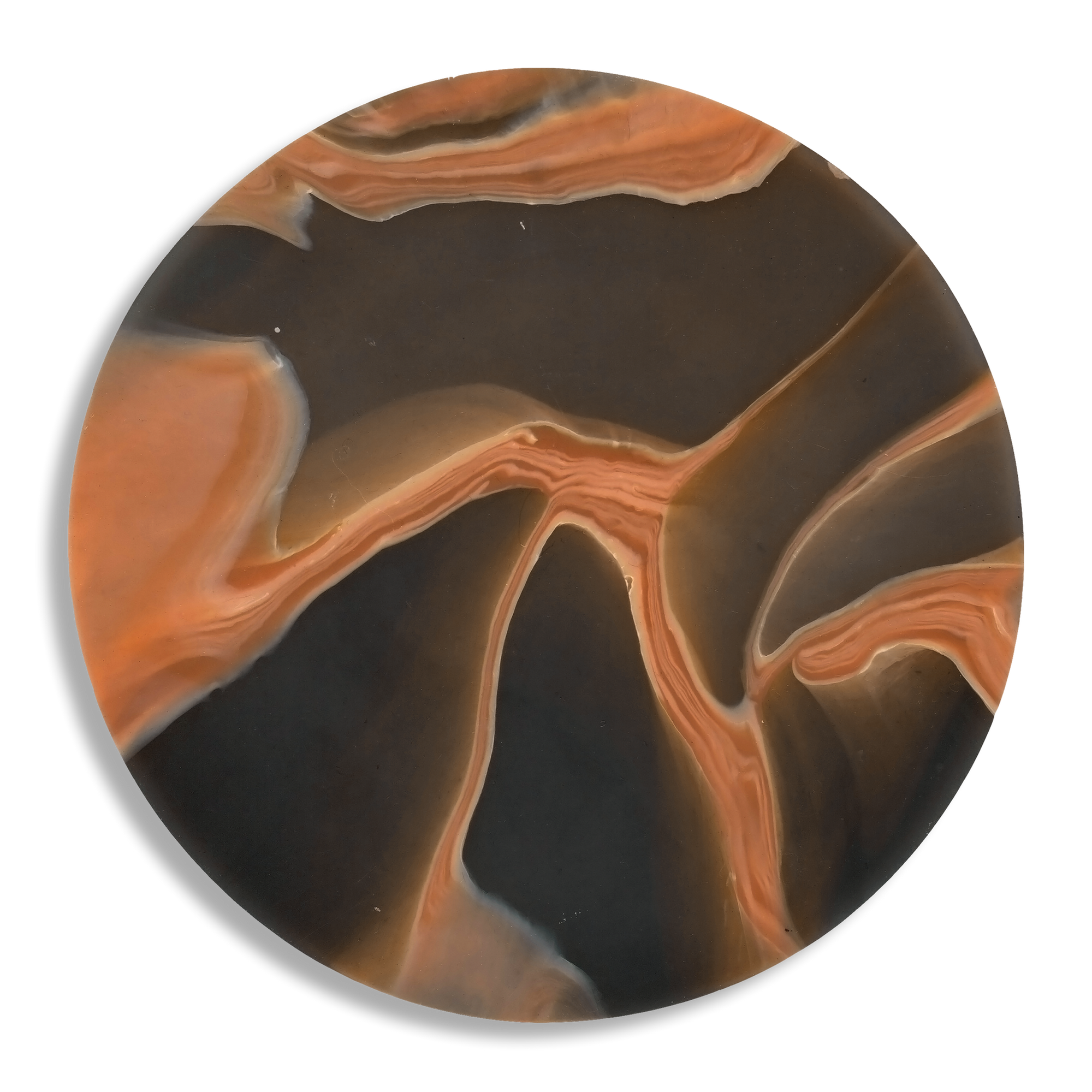 MYCELIUM TERRACOTTA 5.png