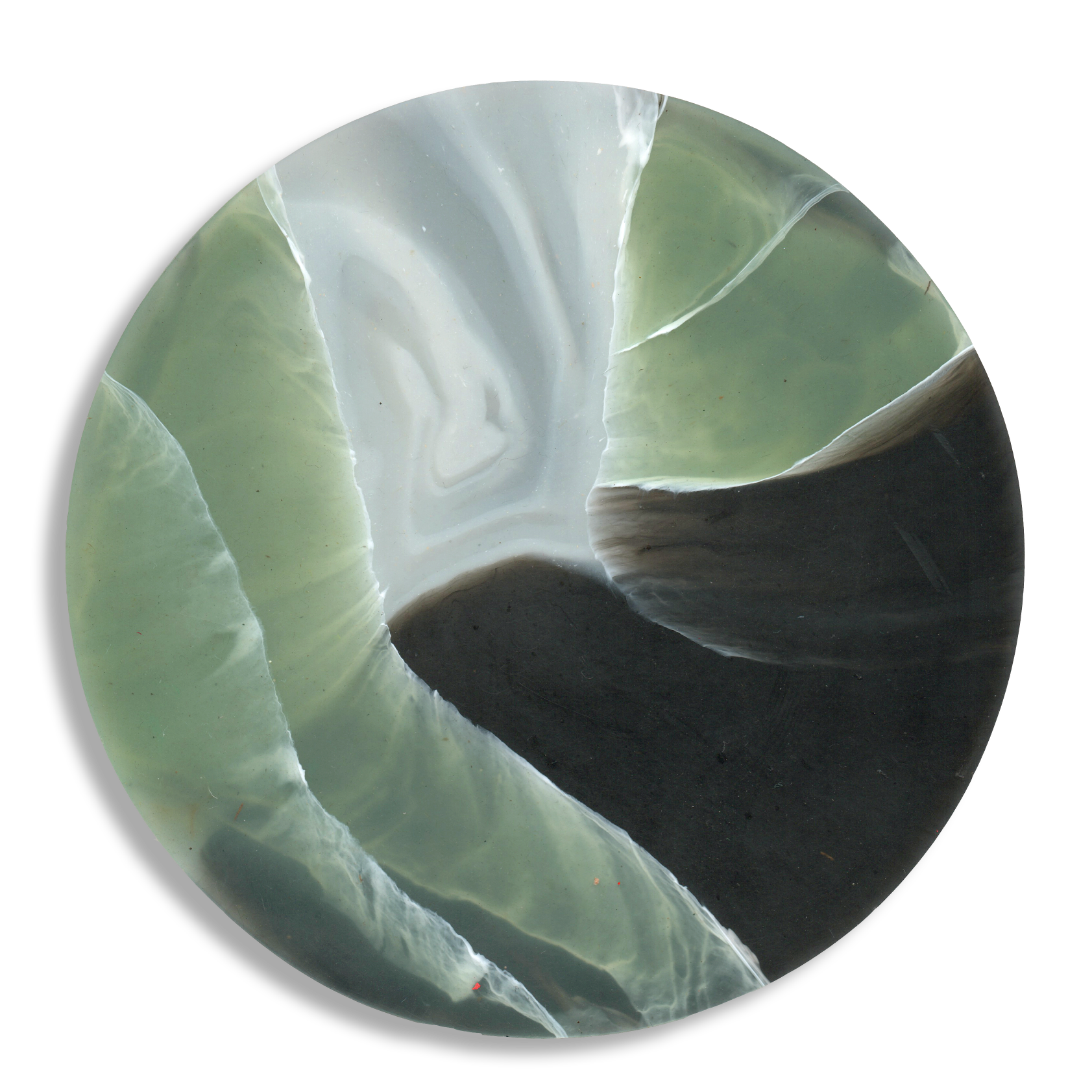 TORTOISESHELL SAGE 2.png