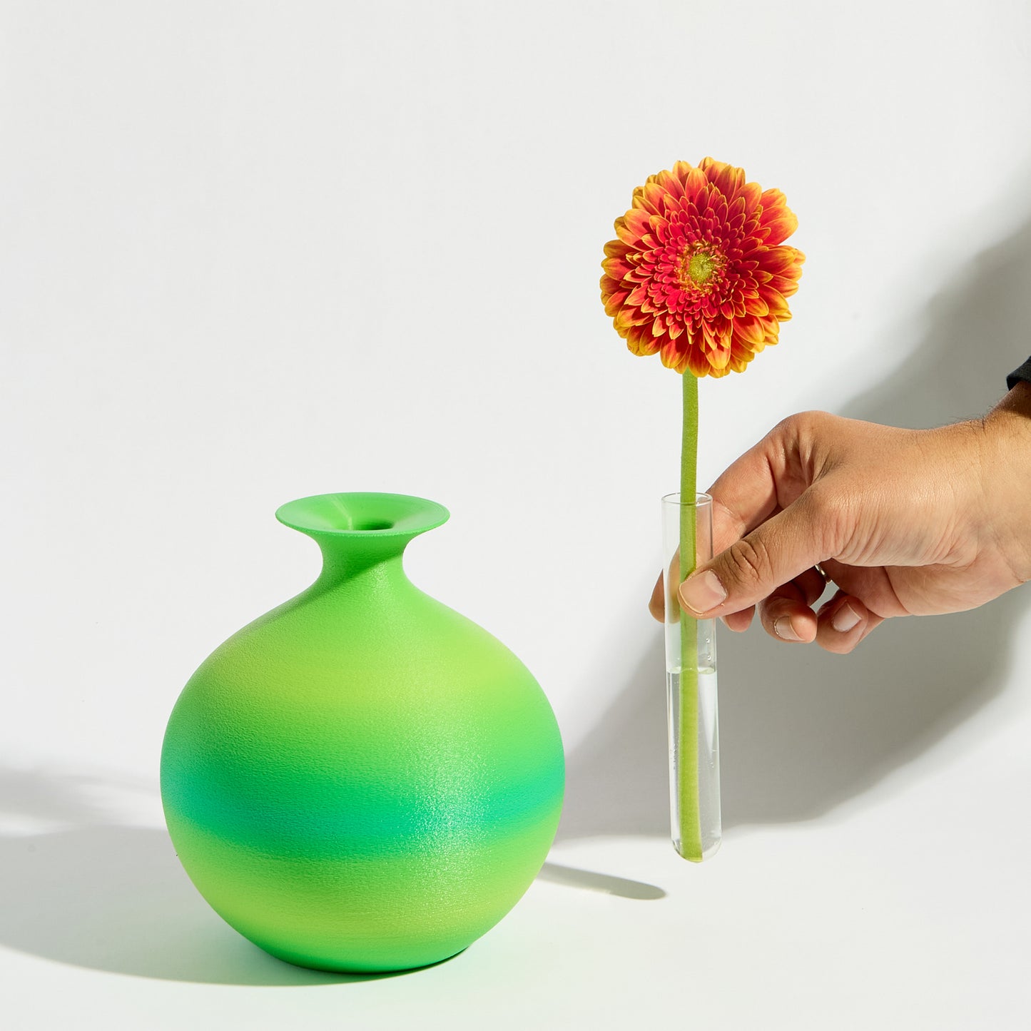 Coola Vase - Gecko Green