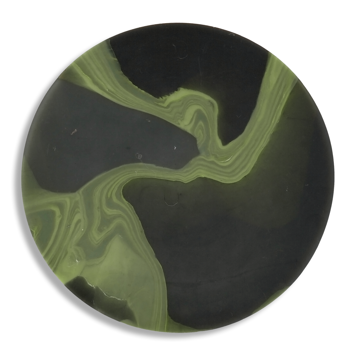 MYCELIUM GREEN 5.png