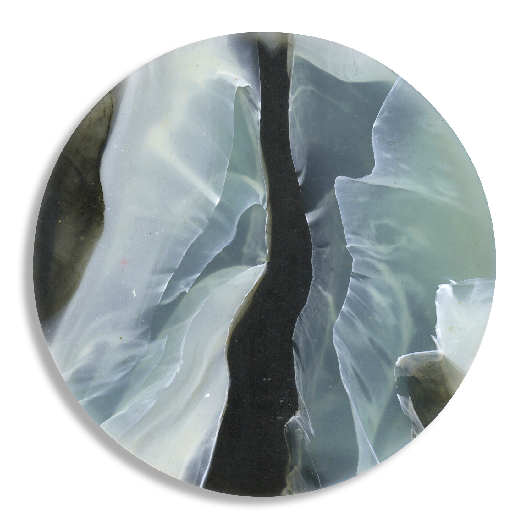 TORTOISESHELL GLACIER 3.png