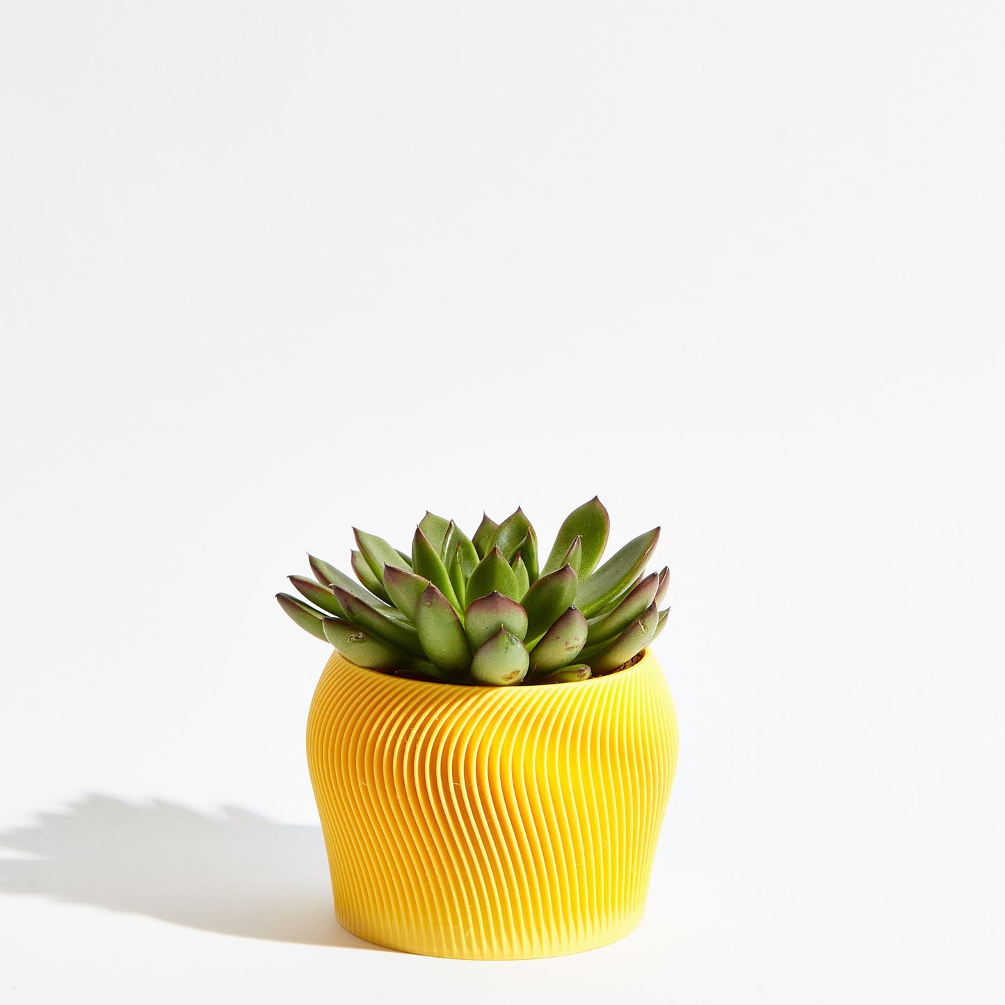 Orbital Pot - Banana Yellow