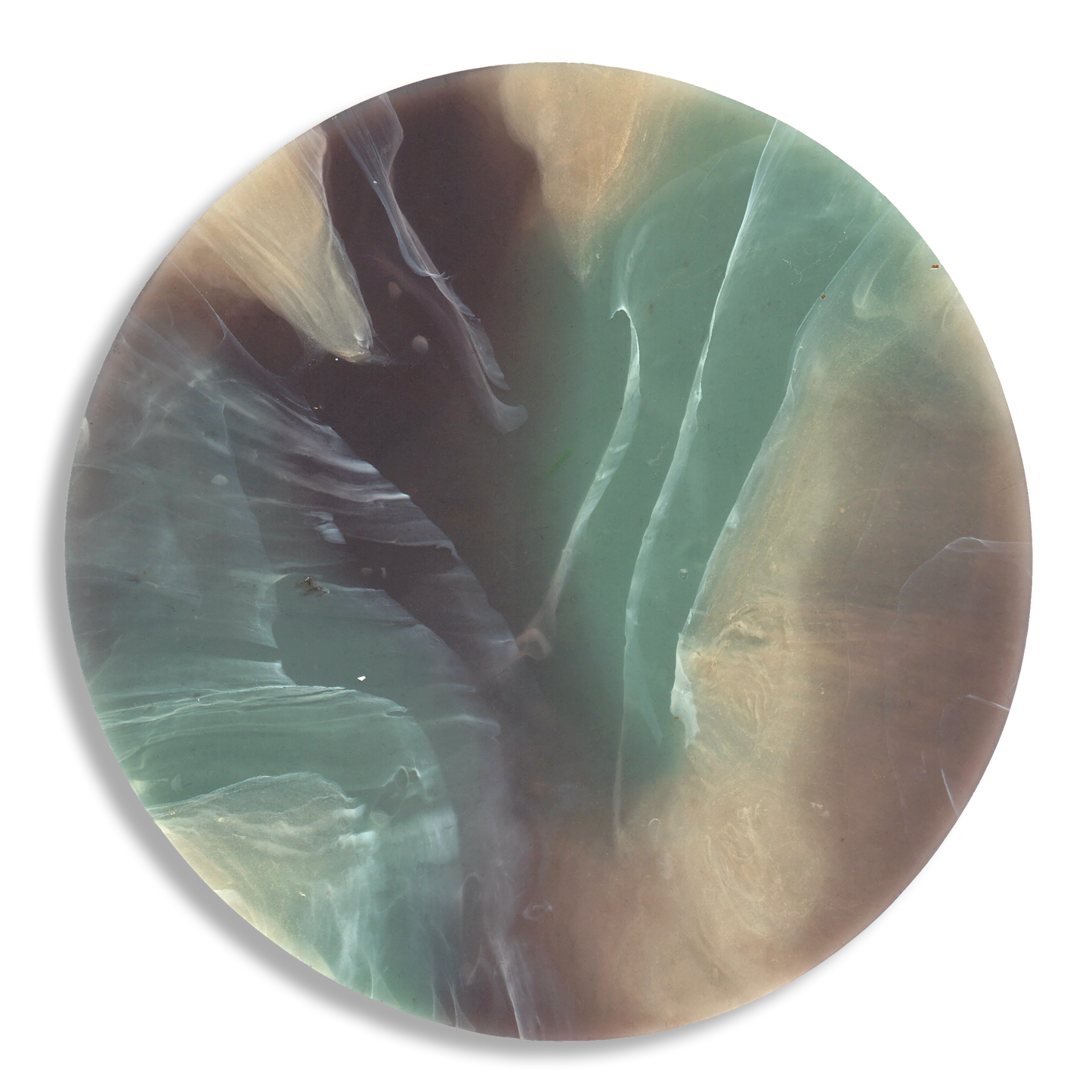 SAND EUCALYPTUS 6.png