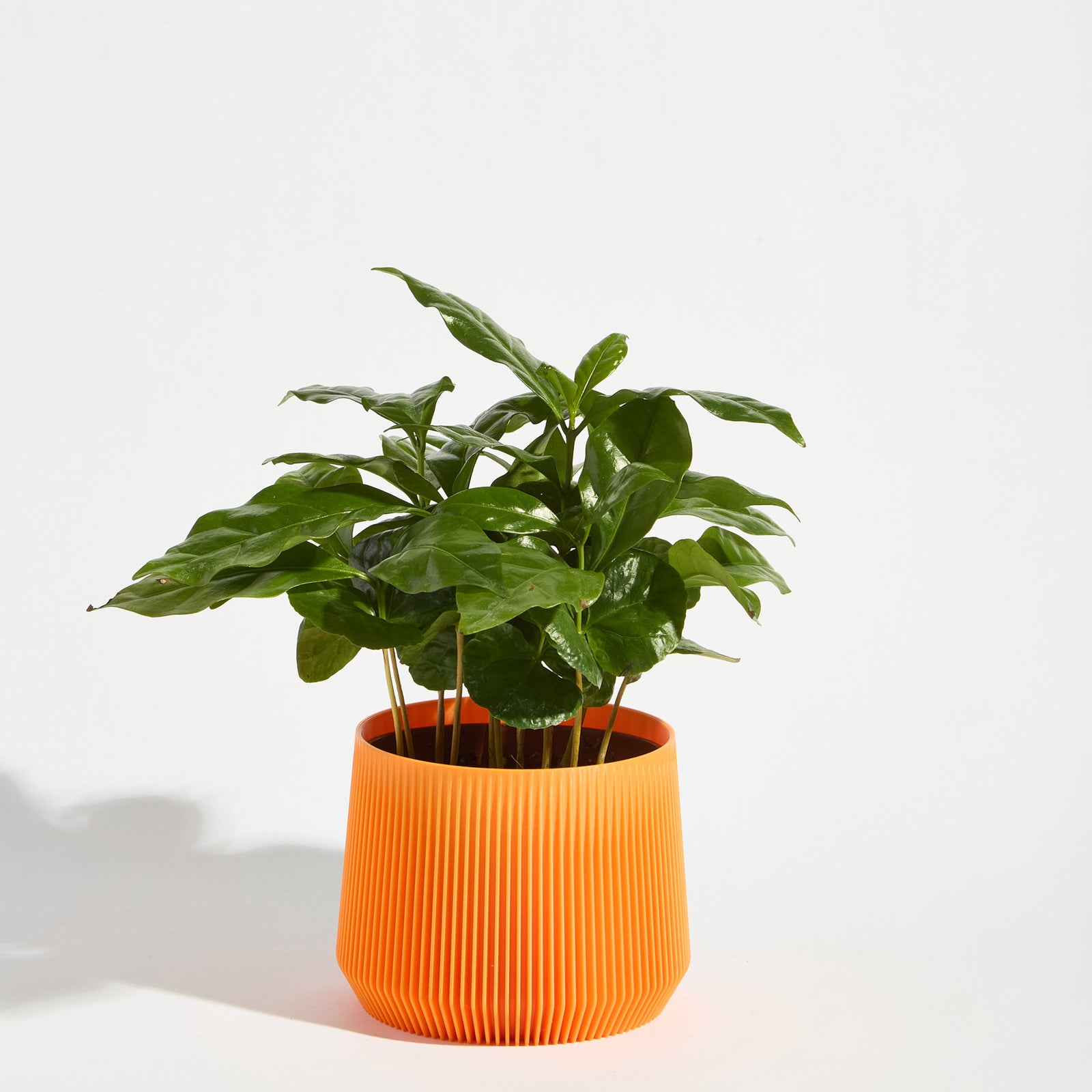 Pillar Plant Pot - Tangerine Orange