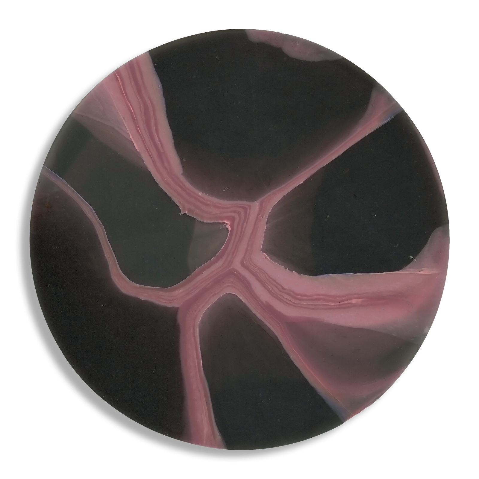 MYCELIUM PINK 5.png