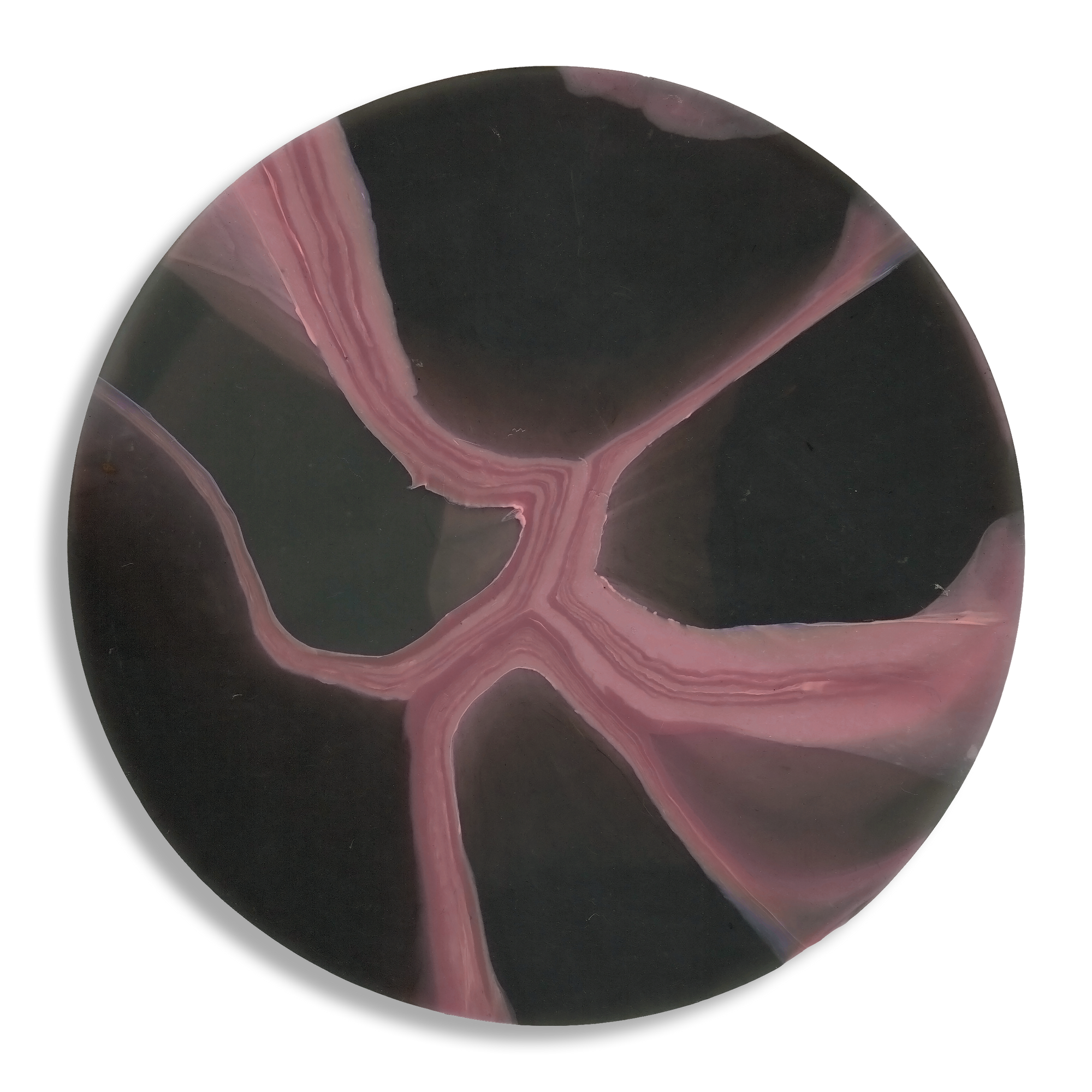 MYCELIUM PINK 5.png